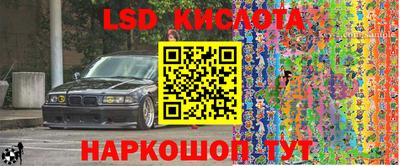 гашик Дмитров