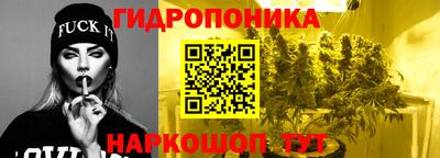 гашик Дмитров